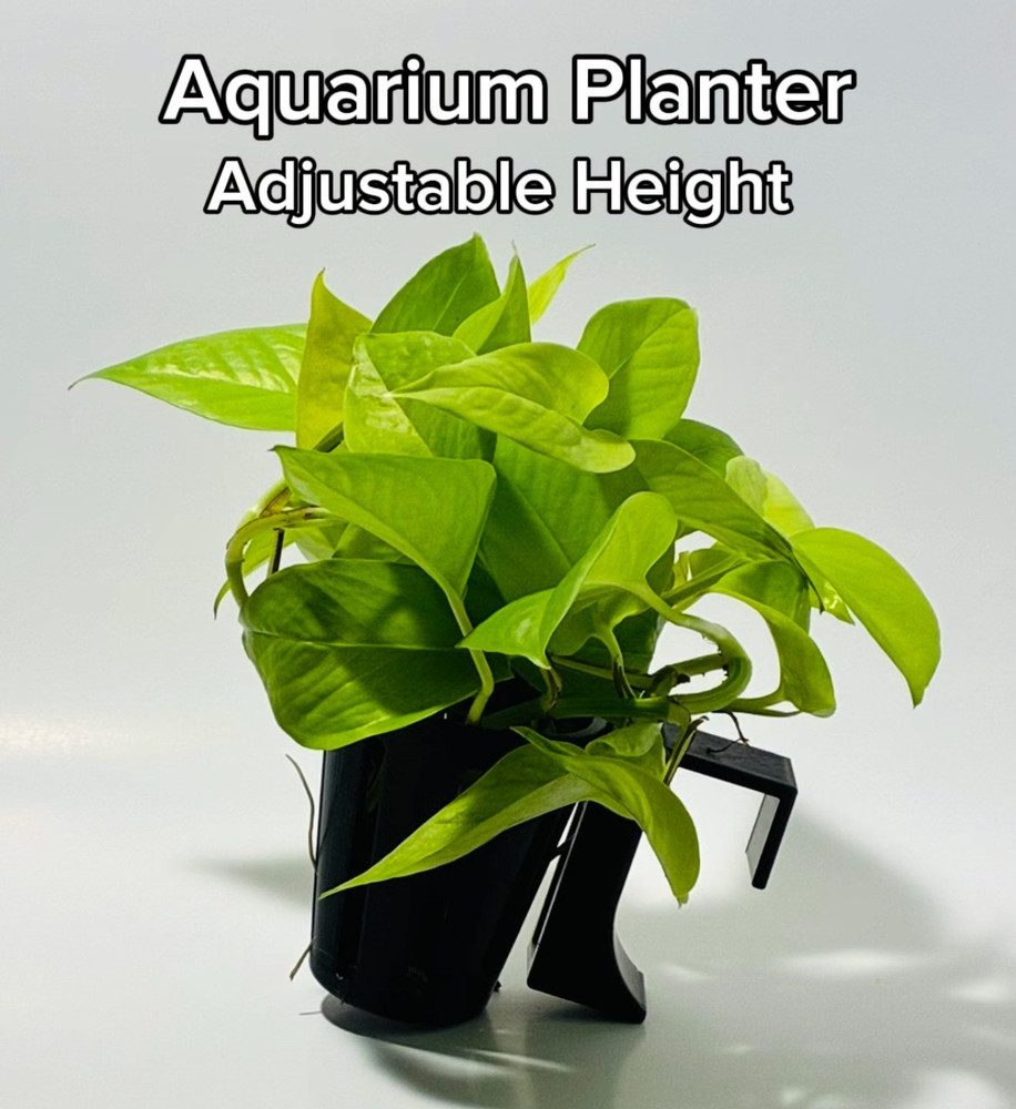 Aquarium Plant Holder-Adjustable Height