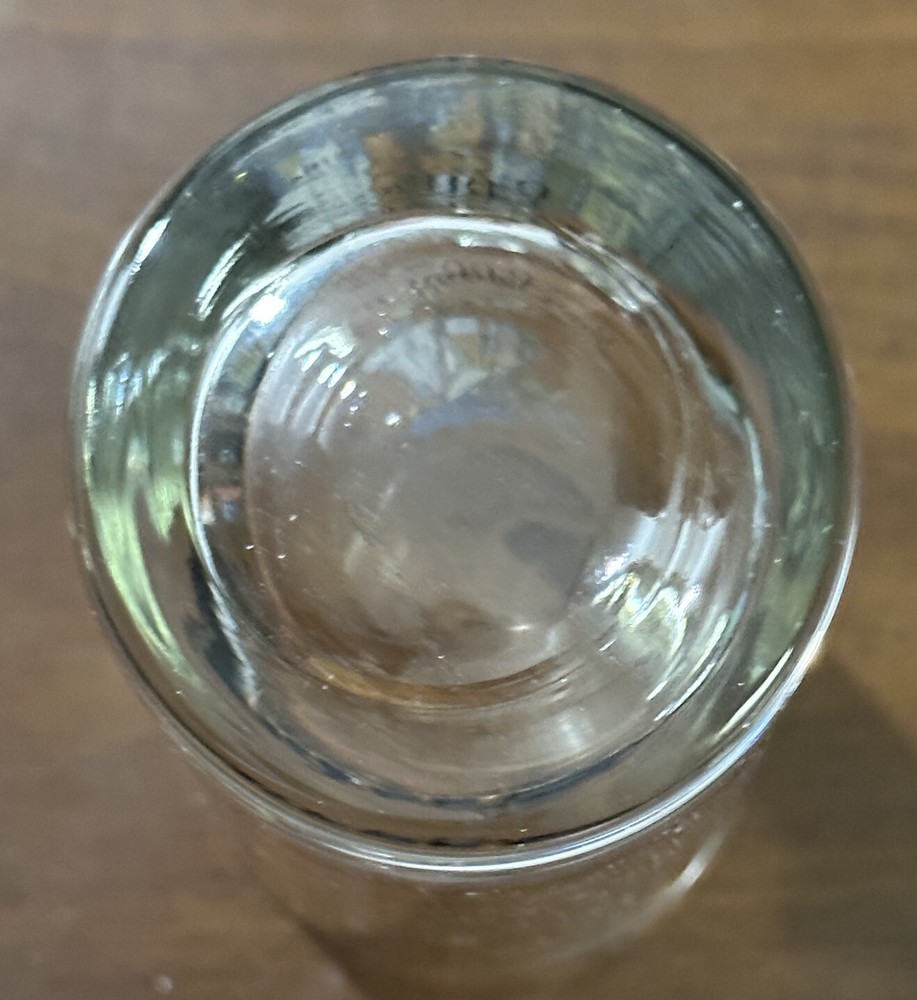 Holly Hobbie Tall Drinking Glasses