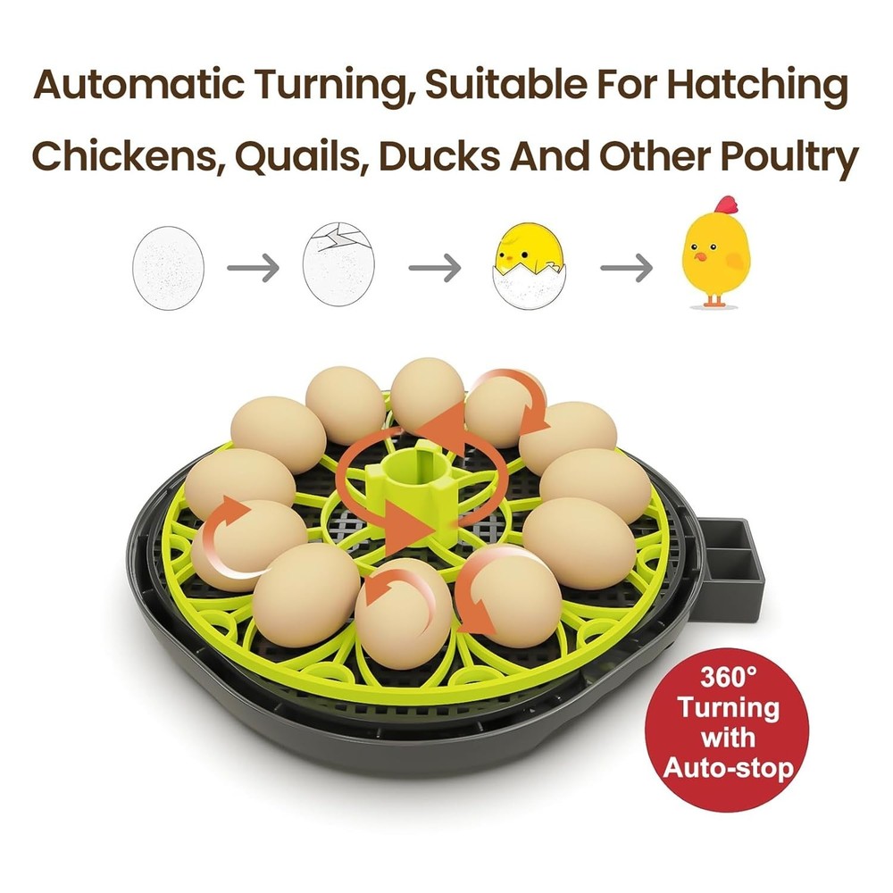 High-Performance 12h Egg Incubator with LED Display & Auto Water Replenishment
