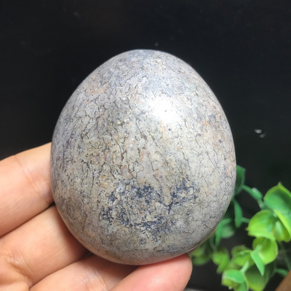 148g polished dinosaur bone specimen Madagascar 10