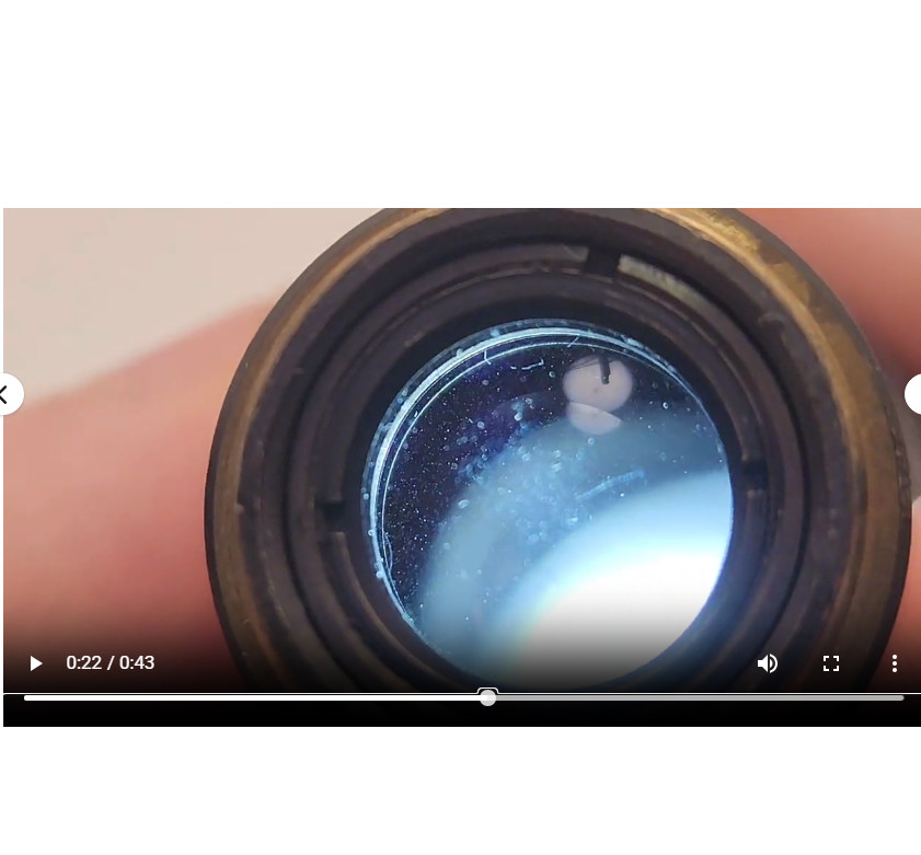 Nikon Plan FL2 0.08 160/- Microscope Objective RMS 34720