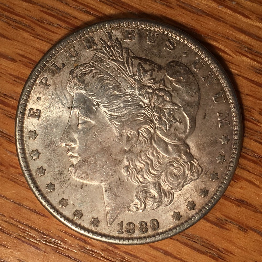 1889 Morgan Silver Dollar - High Quality Scans #i147