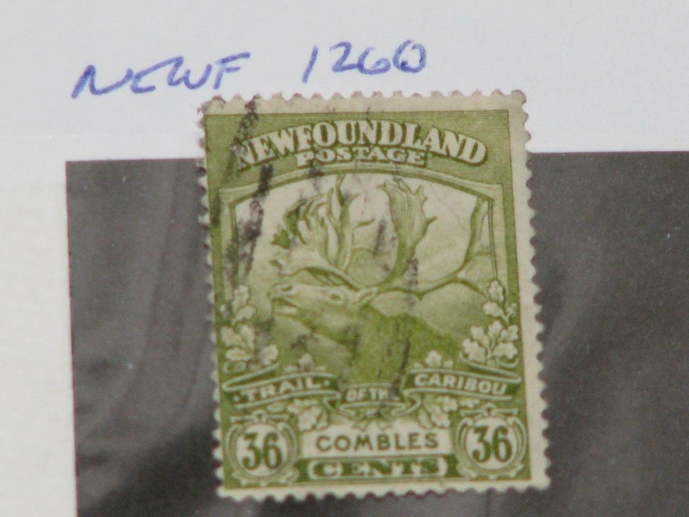 CANADA, NEWFOUNDLAND,SCOTT# 126, USED