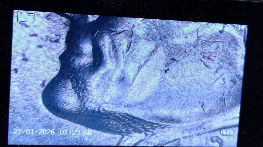 1962 Uncirculated Jefferson Nickel Multiple Errors/DD. No Initials.