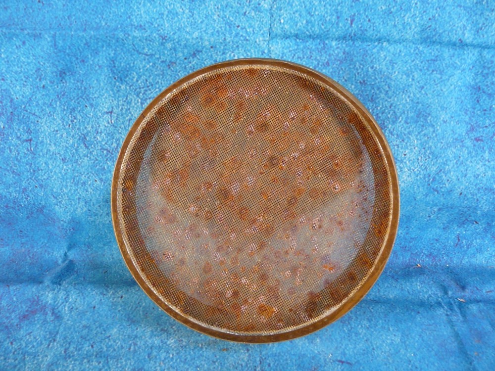 Fisher Scientific Standard Testing Sieve No. 25