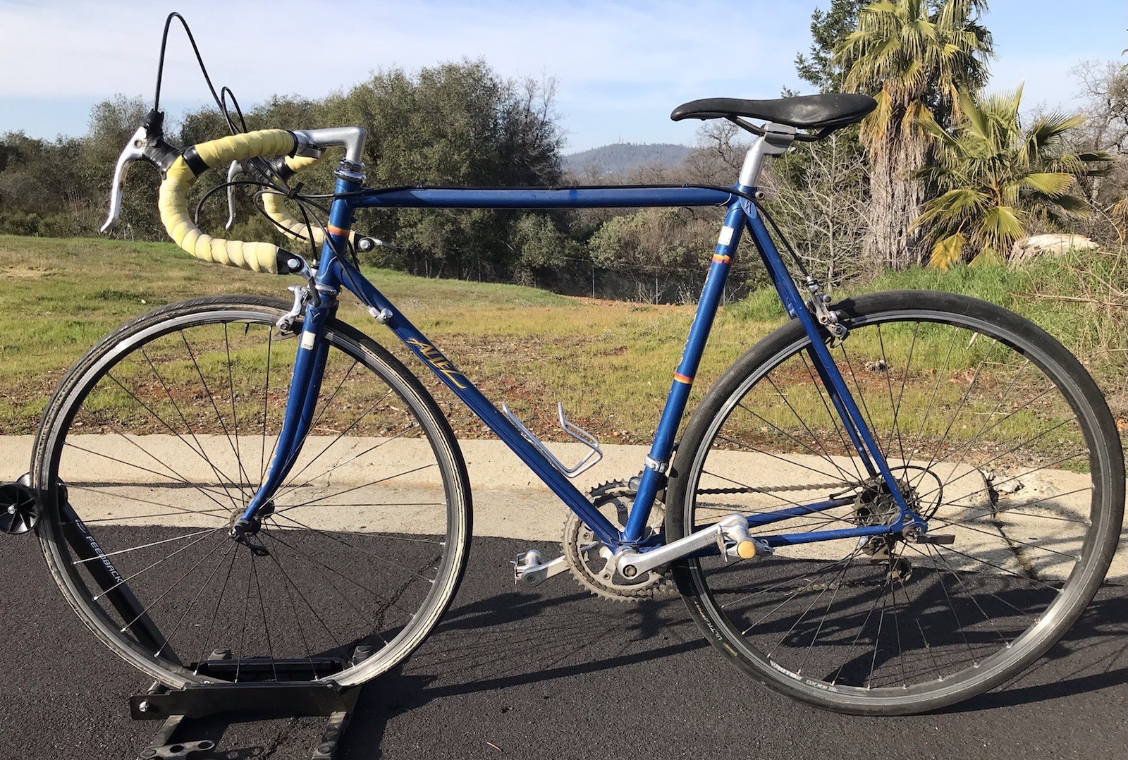 Vintage Specialized Allez SE Jim Merz Edition Lugged Steel Racing Bicycle Bike