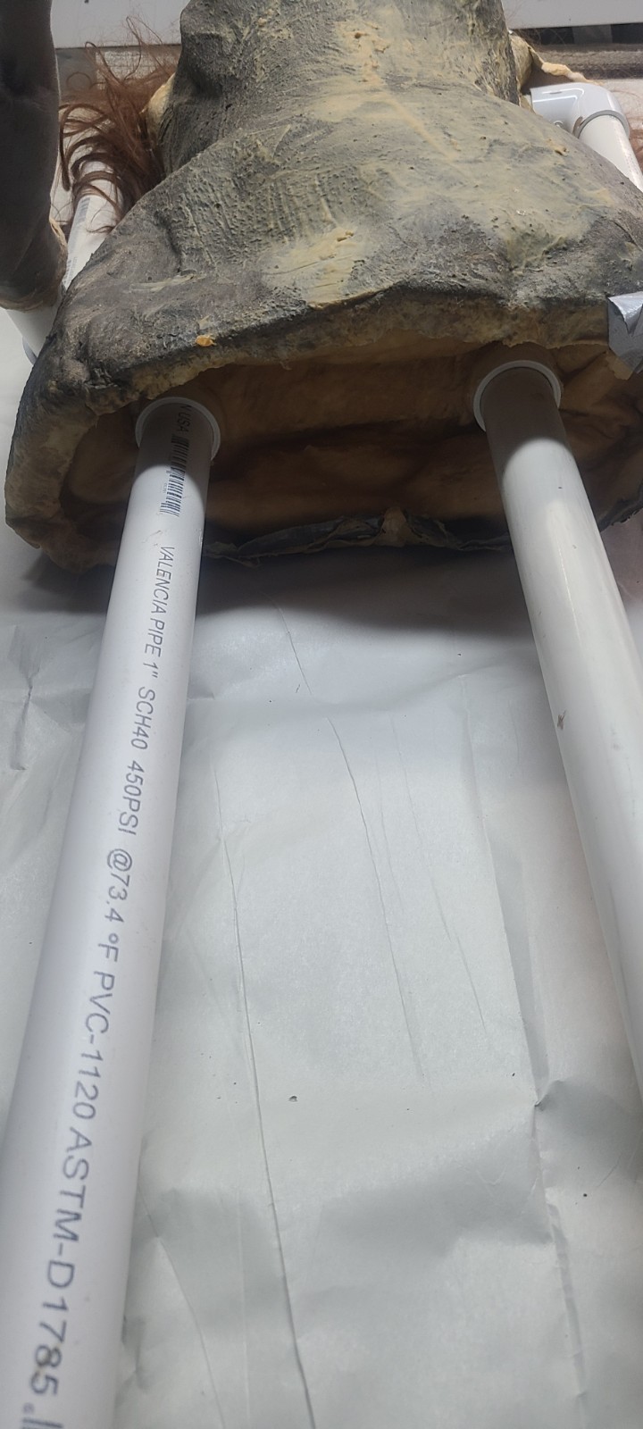 Life-Size Full Body Countess Dracula Female Vampire Prop - Halloween - Horror