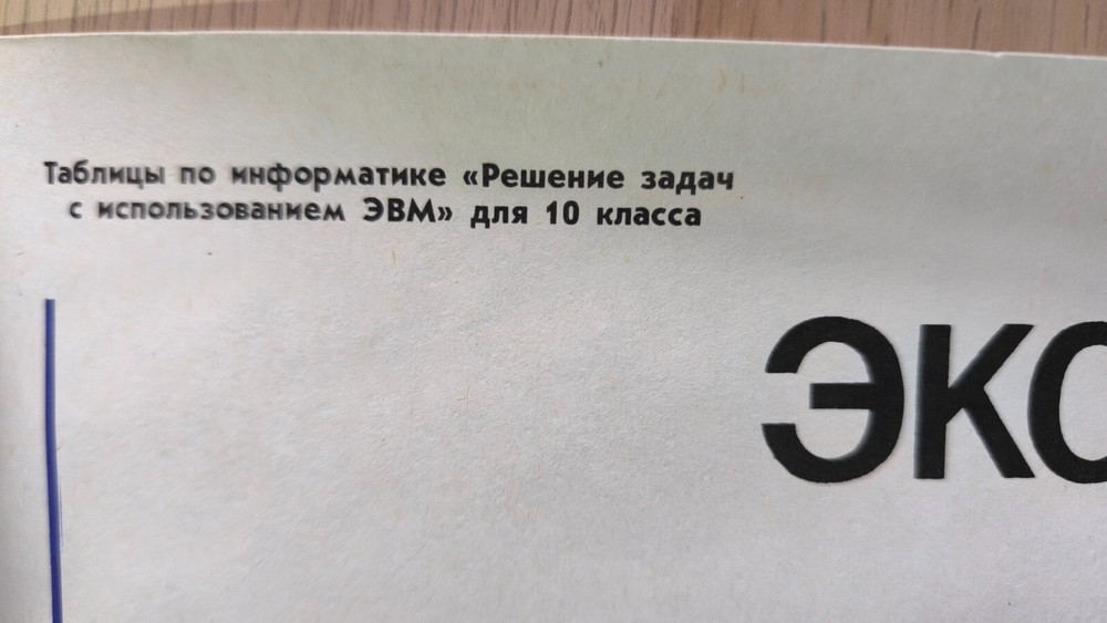 Rare USSR Informatics Ecological Model Poster 1989 Soviet Computer Science Class