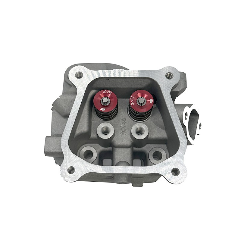 Wc946 18Cc Big Valve 31/25 Head With 26# Springs WC946-2