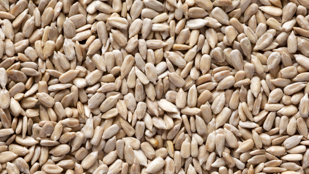 Pasteurized Sunflower Seeds Kernels / 1KG