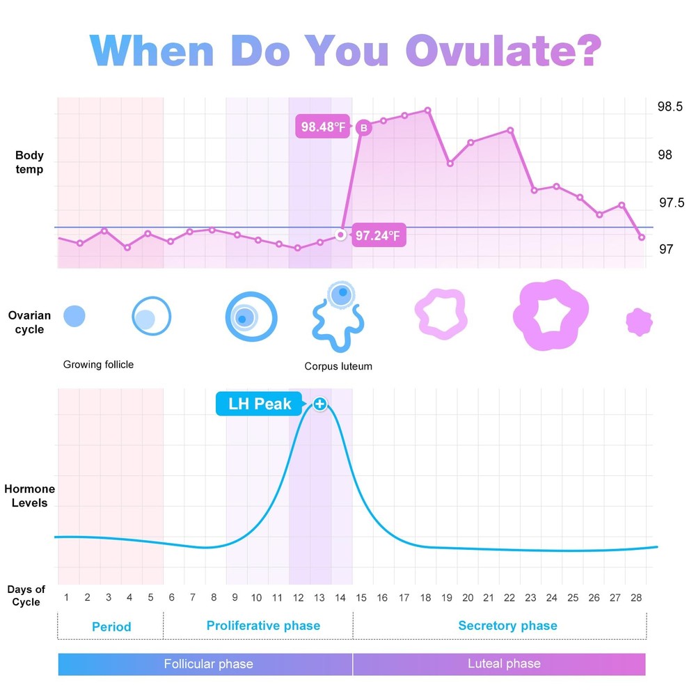 EasyHome Ovulation Test Strips, 100 Pack Fertility Tests, Ovulation Predicto...