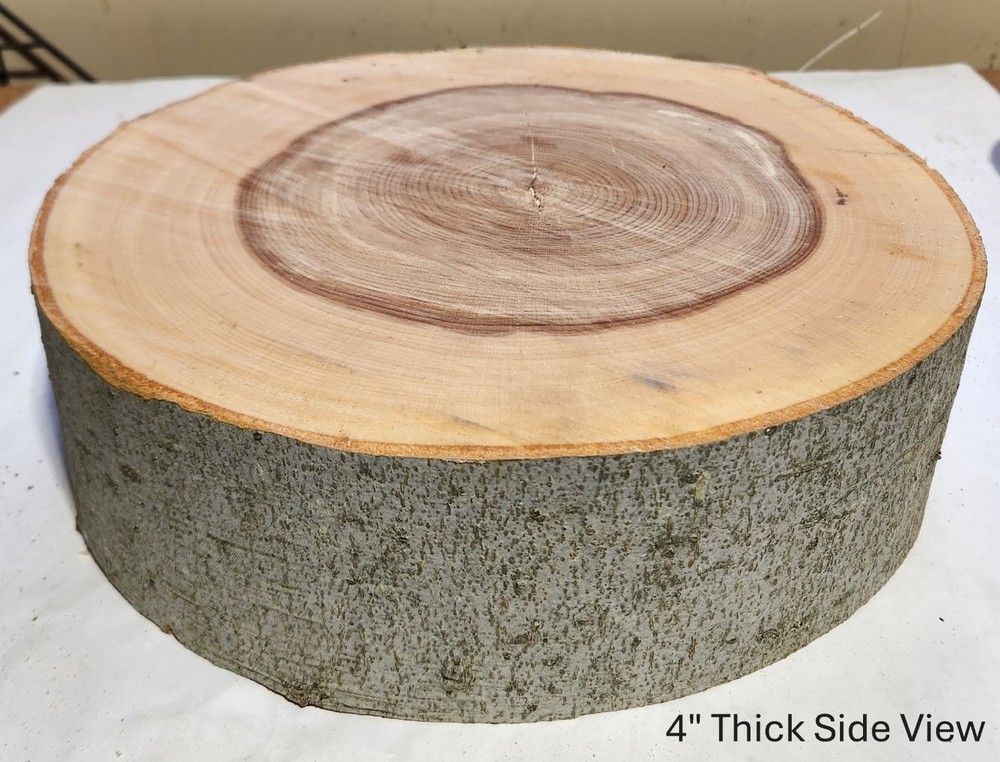12" Wide 3" Thick Natural Beech Tree Wedding Cake Stand
