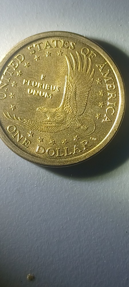 2000 P Wounded (Speared) Eagle Die Gouge Sacagawea Dollar