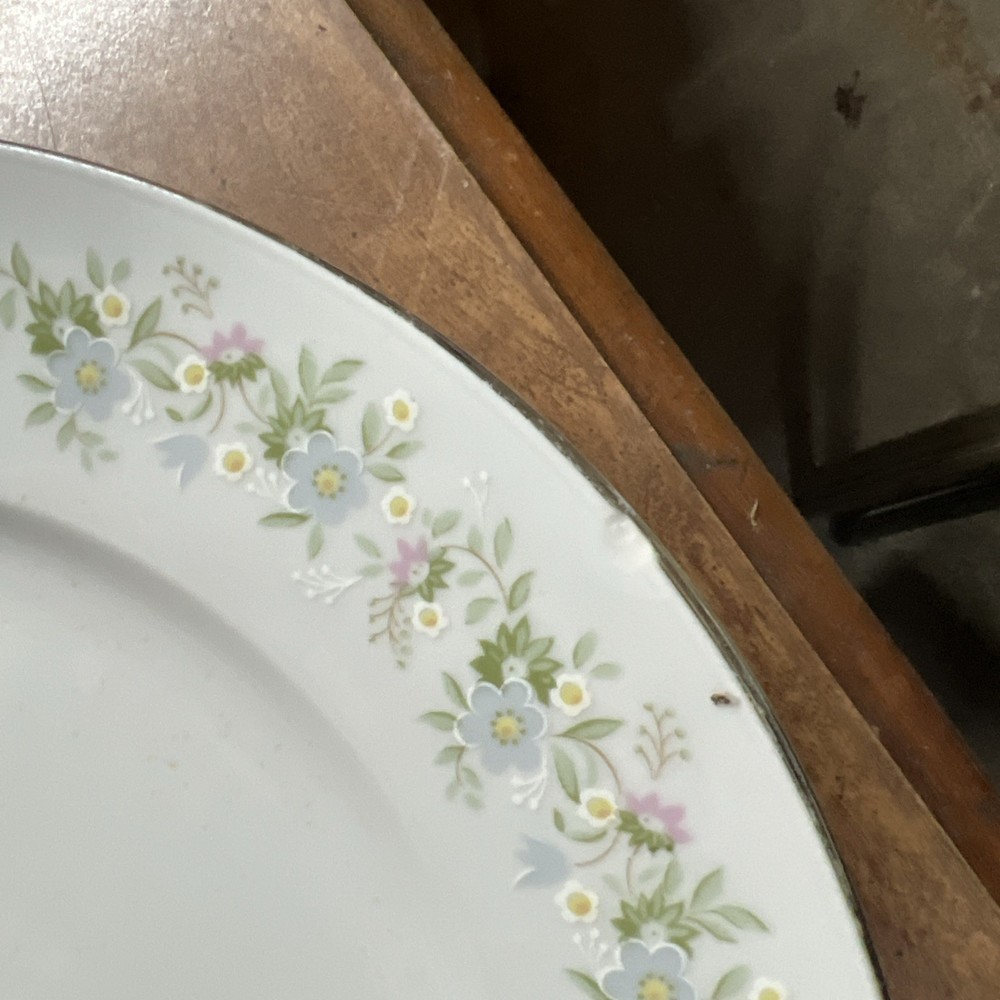Johann Haviland Bavaria Germany "Forever Spring 13 Pc Setting
