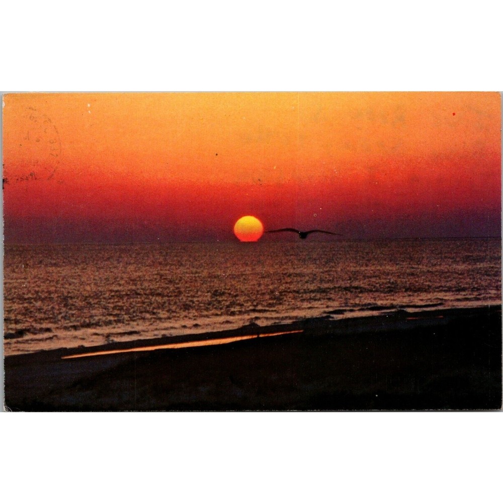 Daytona Beach Florida Postcard PC647