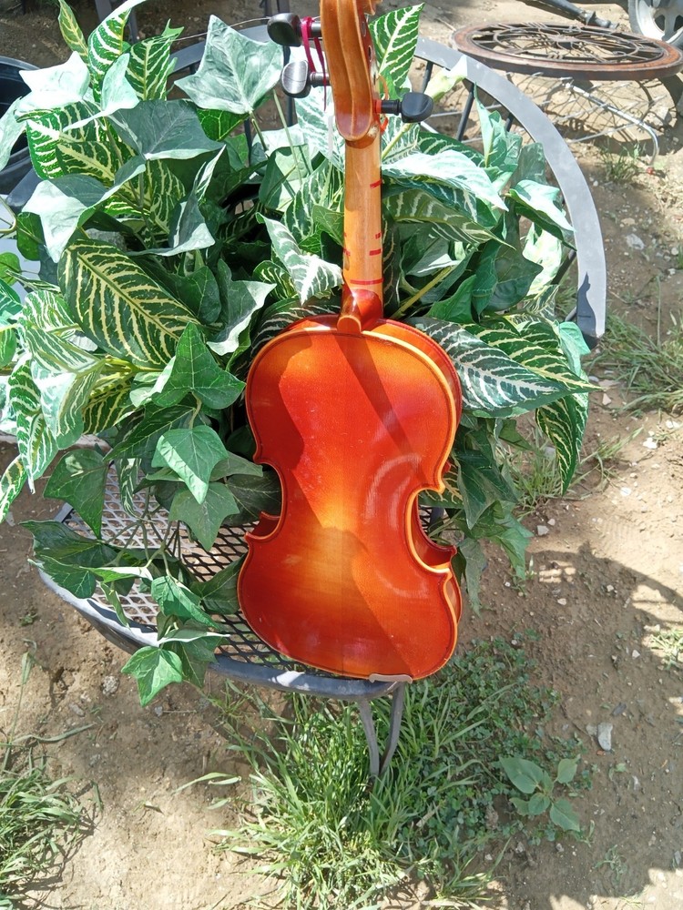 William Lewis & Son Violin Laurel 101