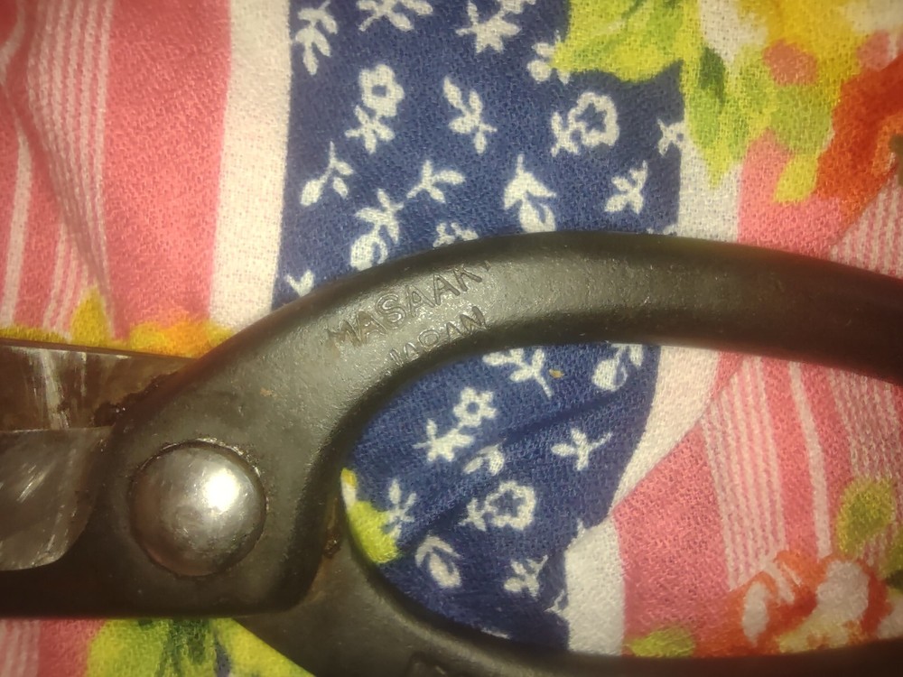 Masaaki bonsai shears / scissors 