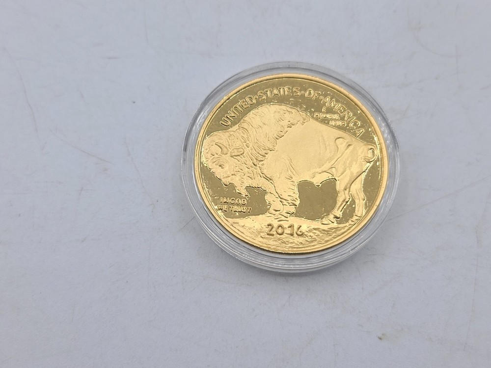 American Indian Head Copy - C313
