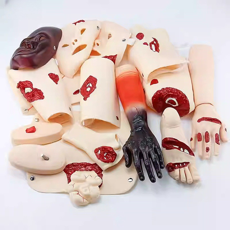 16Pc Trauma Evaluation Module First Aid Simulation Training Model Emergency Care