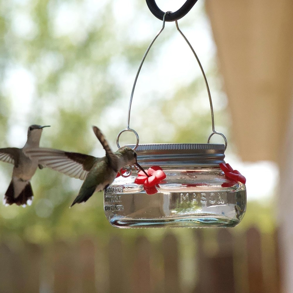 Mason Jar Hummingbird Dish Feeder, Clear
