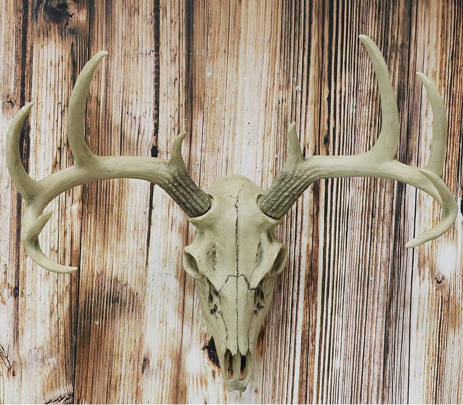 10 European Mount Skull Hanger Deer Skull Mount Euro Mount Skull Hanger Deer ..