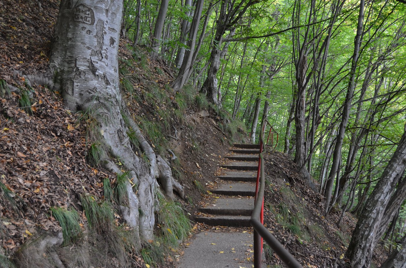Draculas POENARI CASTLE Relic Brick Fragments Item Vlad The Impaler Transylvania
