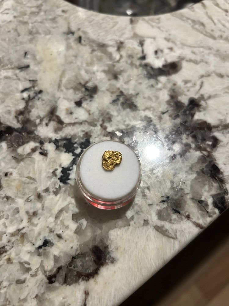 .99 Yukon Gold Nugget