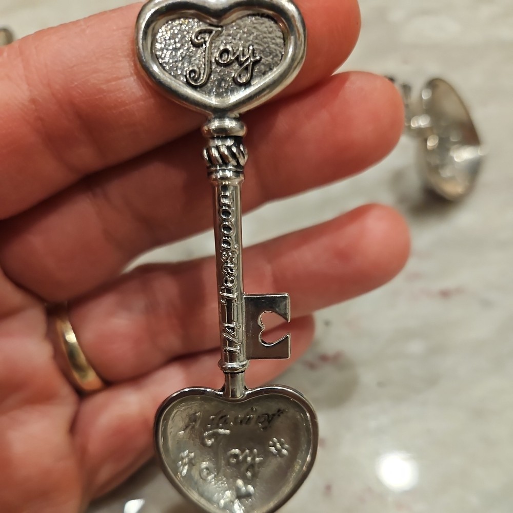 4 GANZ Collectible Measuring Spoons