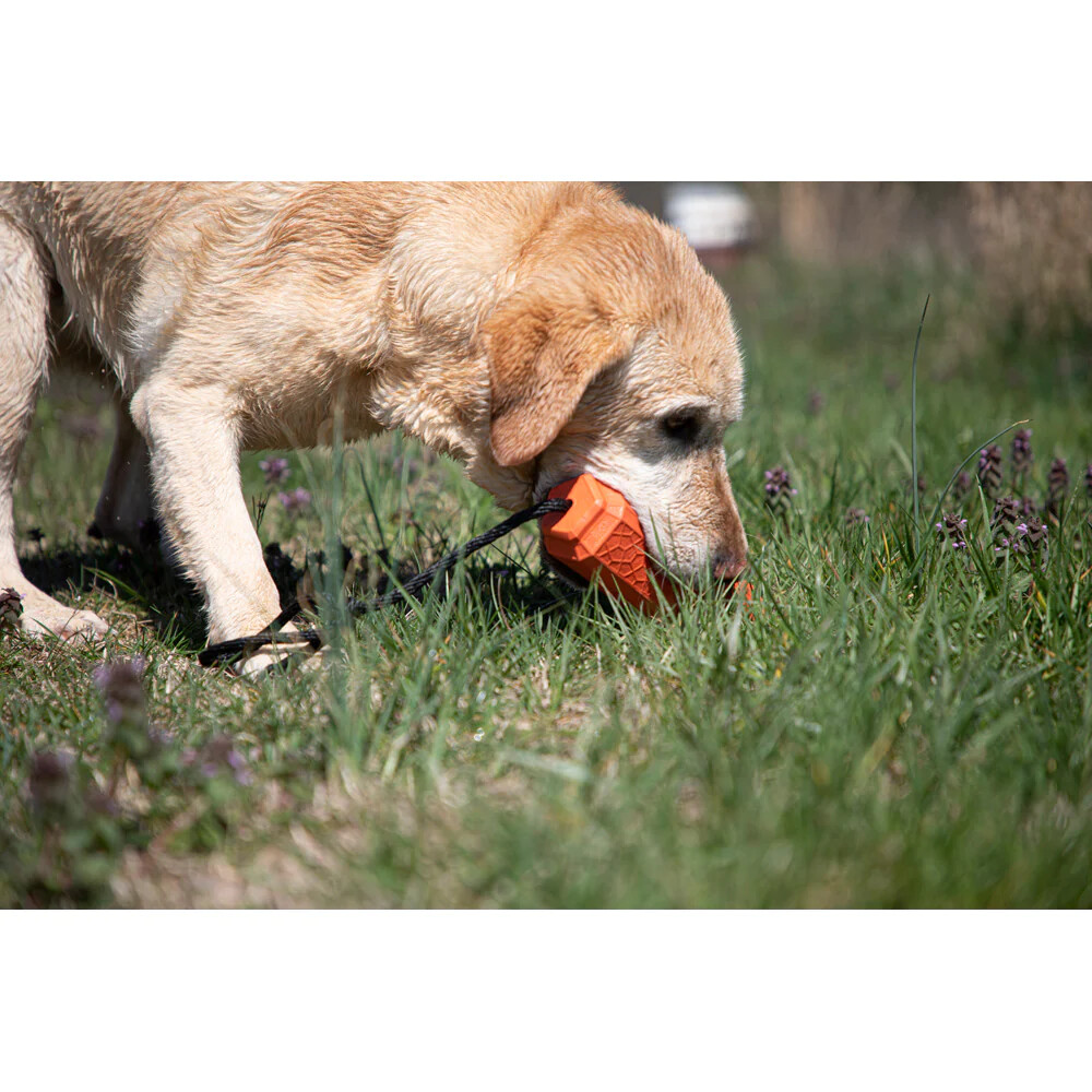 MOmarsh Dog Training Single Bumper