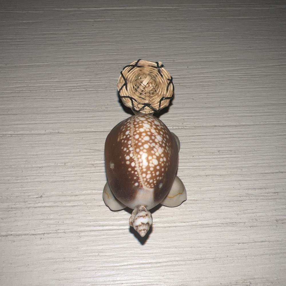 Cute Handmade Seashell Turtle with Wire Glasses Hat/Philippines