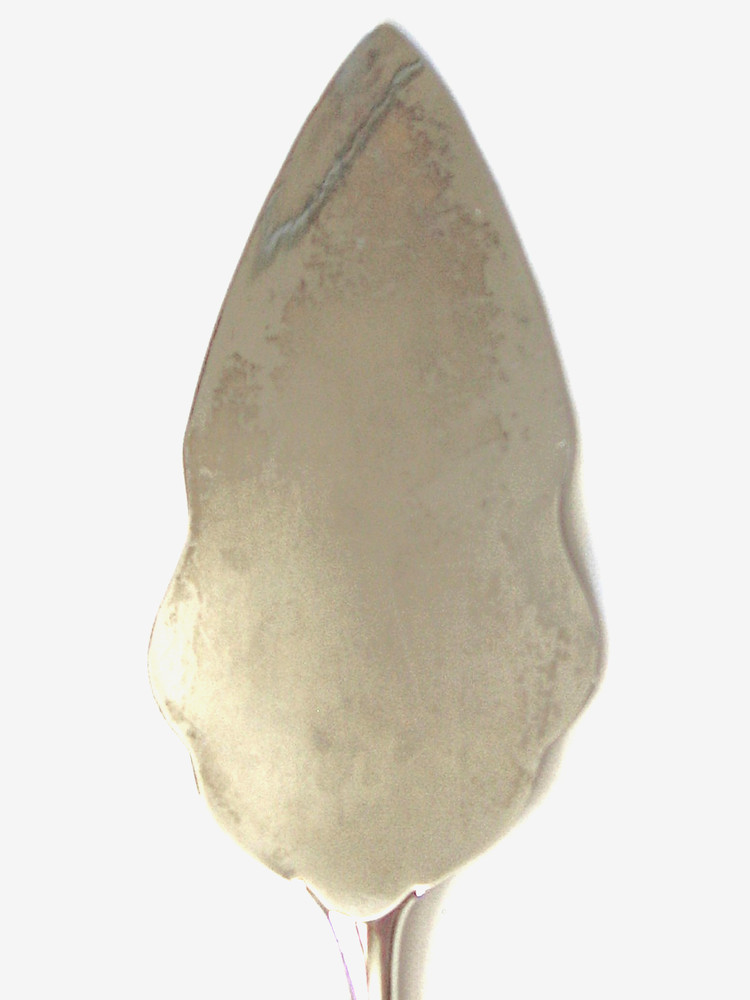 Silver Cake Serving Set