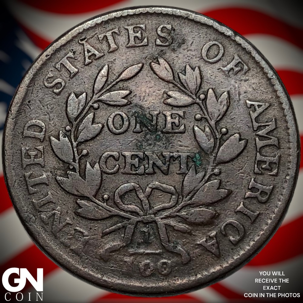1802 Draped Bust Large Cent X5007