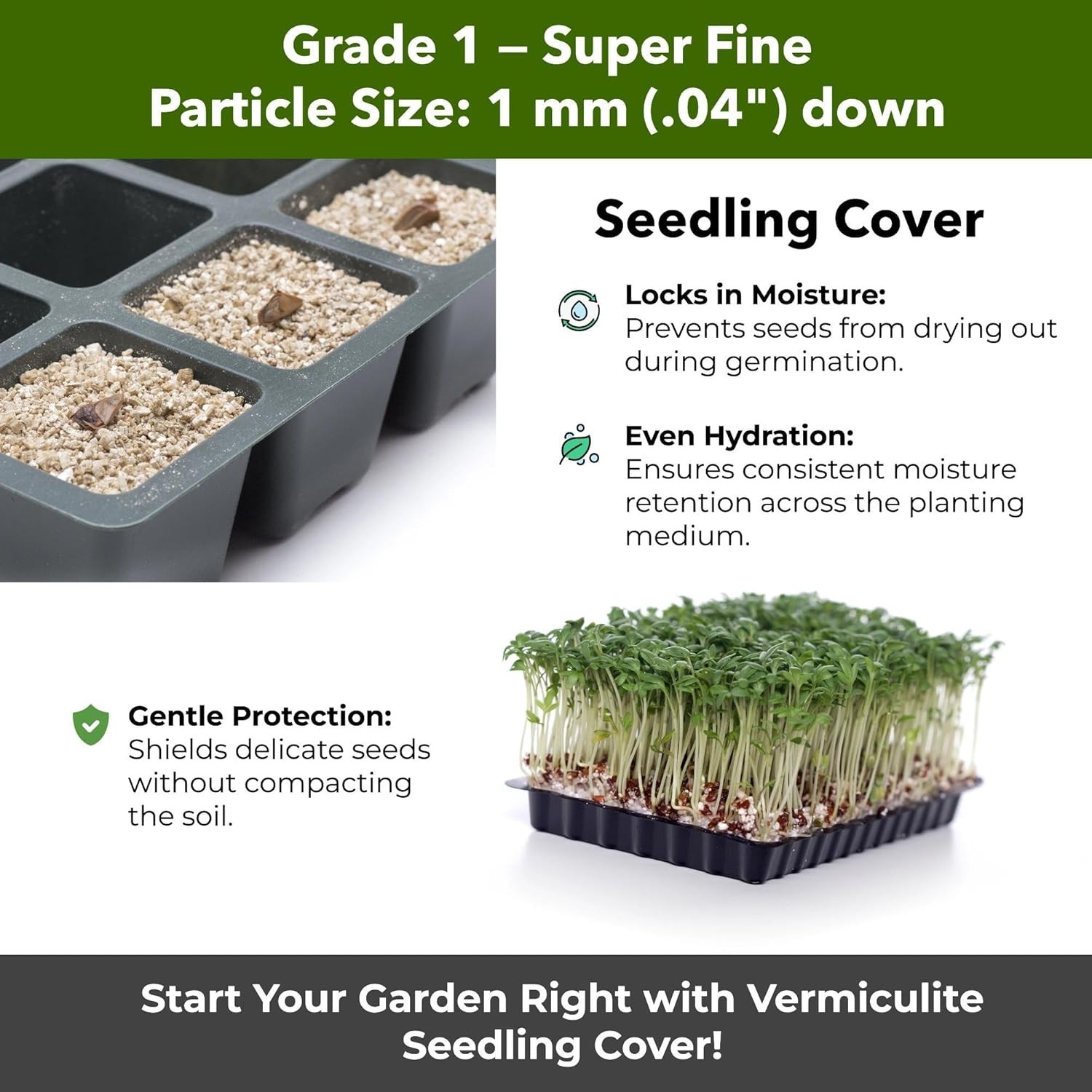 Organic Fine Vermiculite Grade 2 – Soil Aeration, Seed Starting & Mushroom Mix