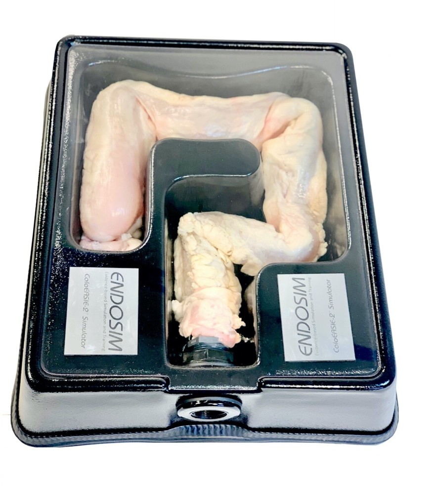 Endosim ColoEASIE-2 Endoscopic Real Tissue Simulator