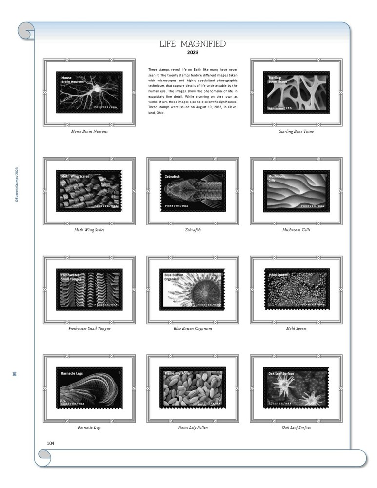 2023 U.S. Commemorative Singles COMPLETE Supplement (White Ace Alternative)
