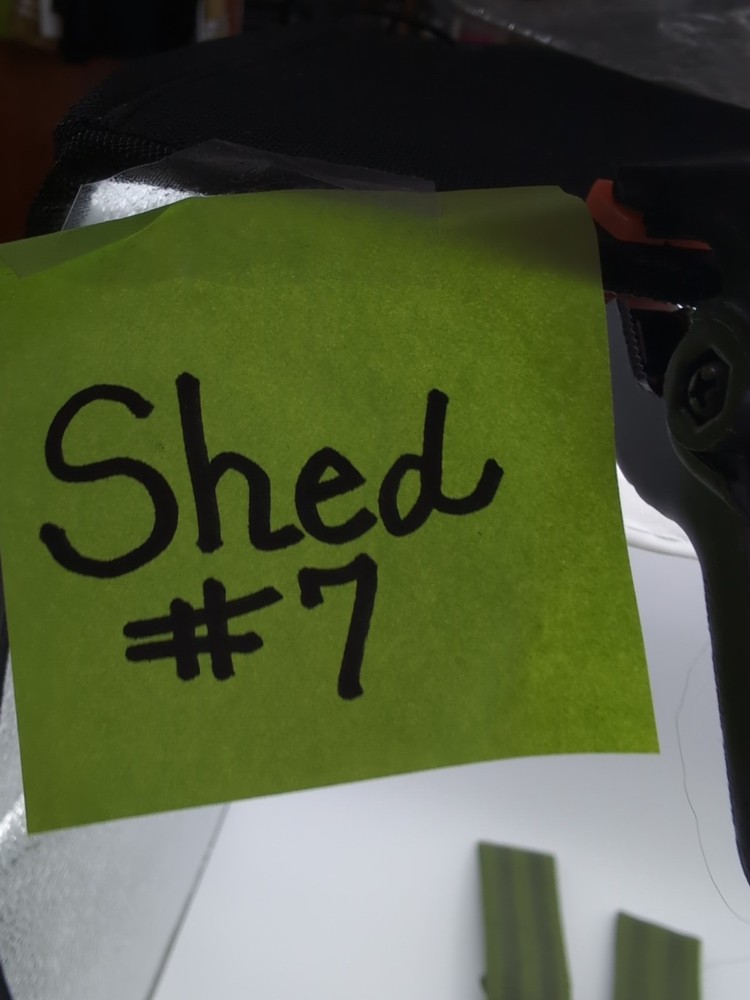 Gymletics Lifting Straps