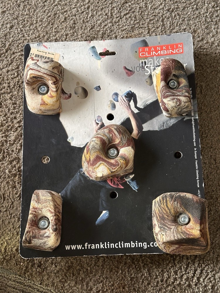 Franklin Climbing Positron Holds Vintage
