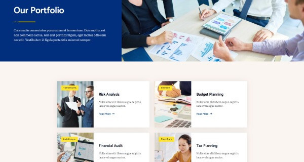 Premium Wordpress Elementor Template Kit Bundle | Finance & Law Firm theme