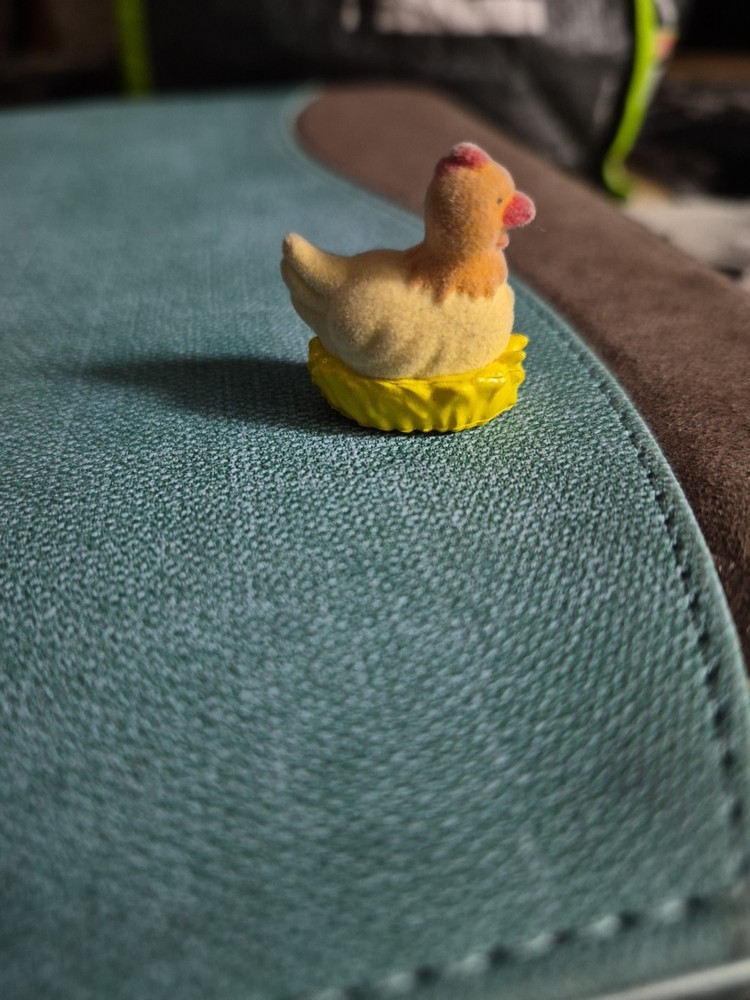 Flocked Chicken On Her Nest