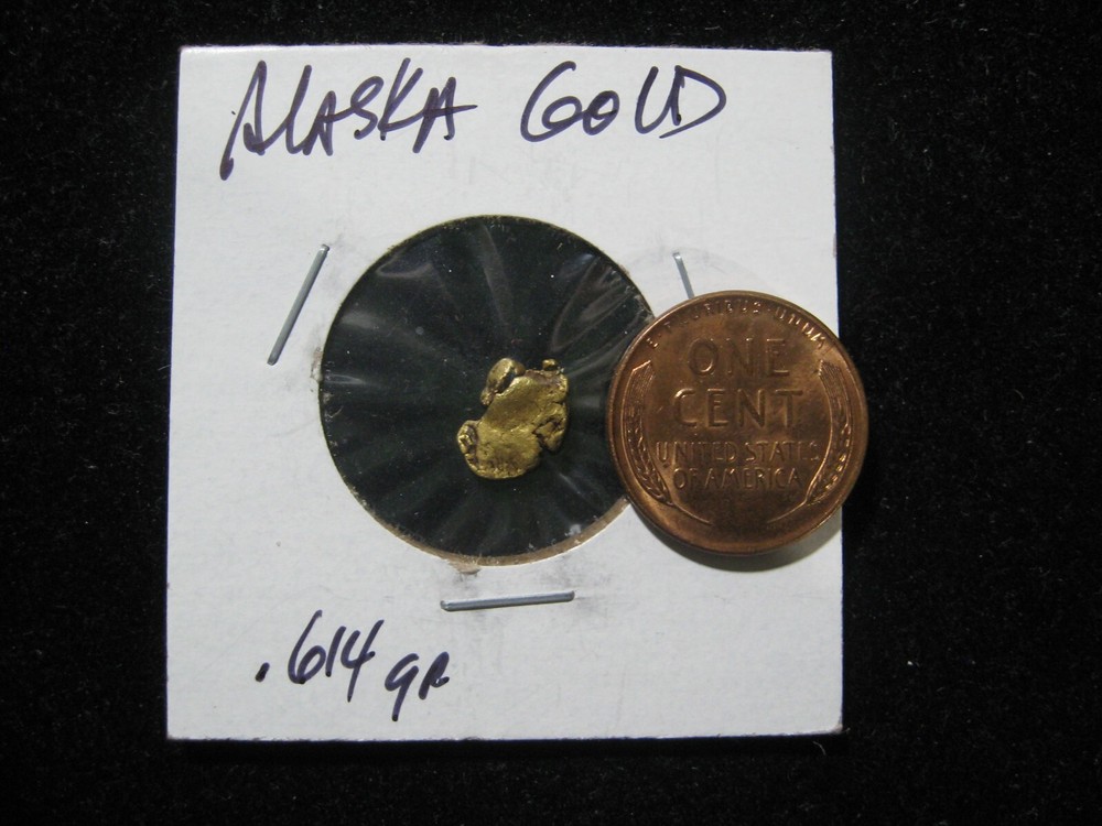 ALASKA GOLD .614 GRAM