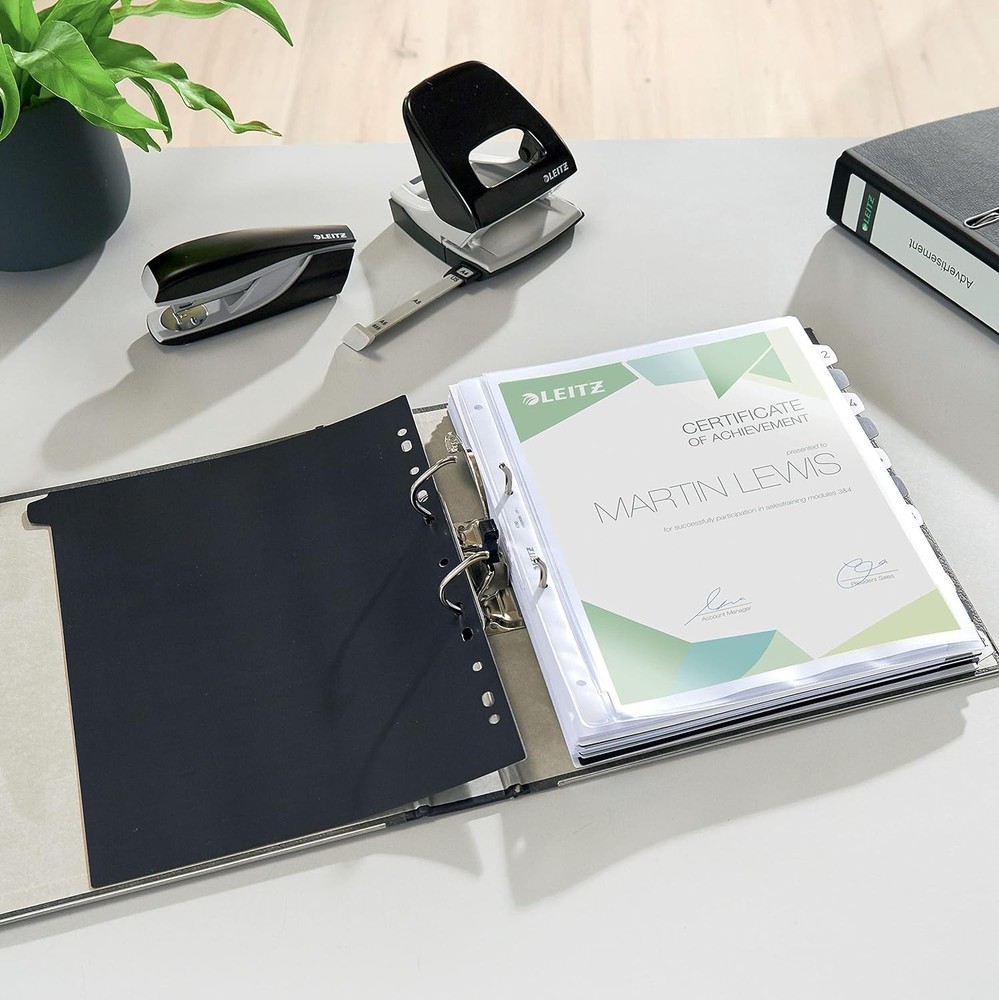 Leitz Quality File