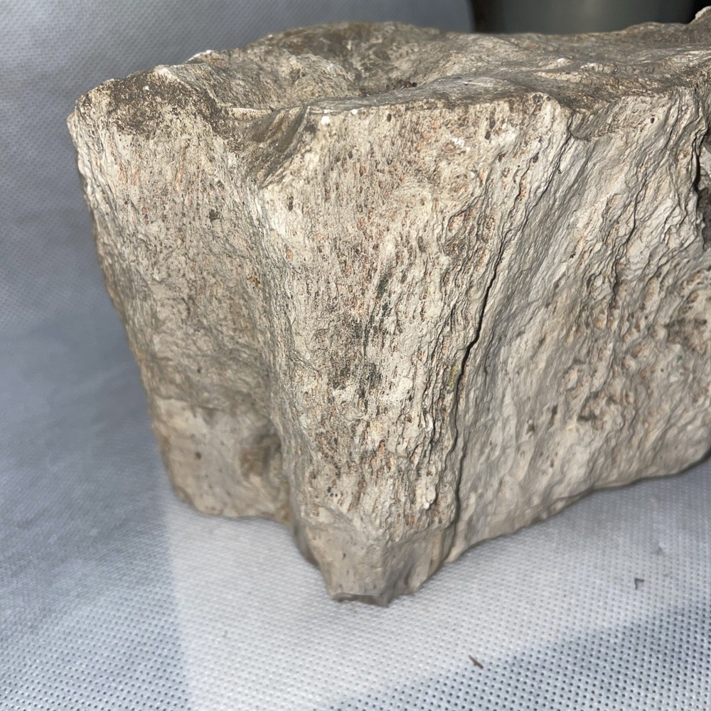Petrified Wood. 4.705 Lbs