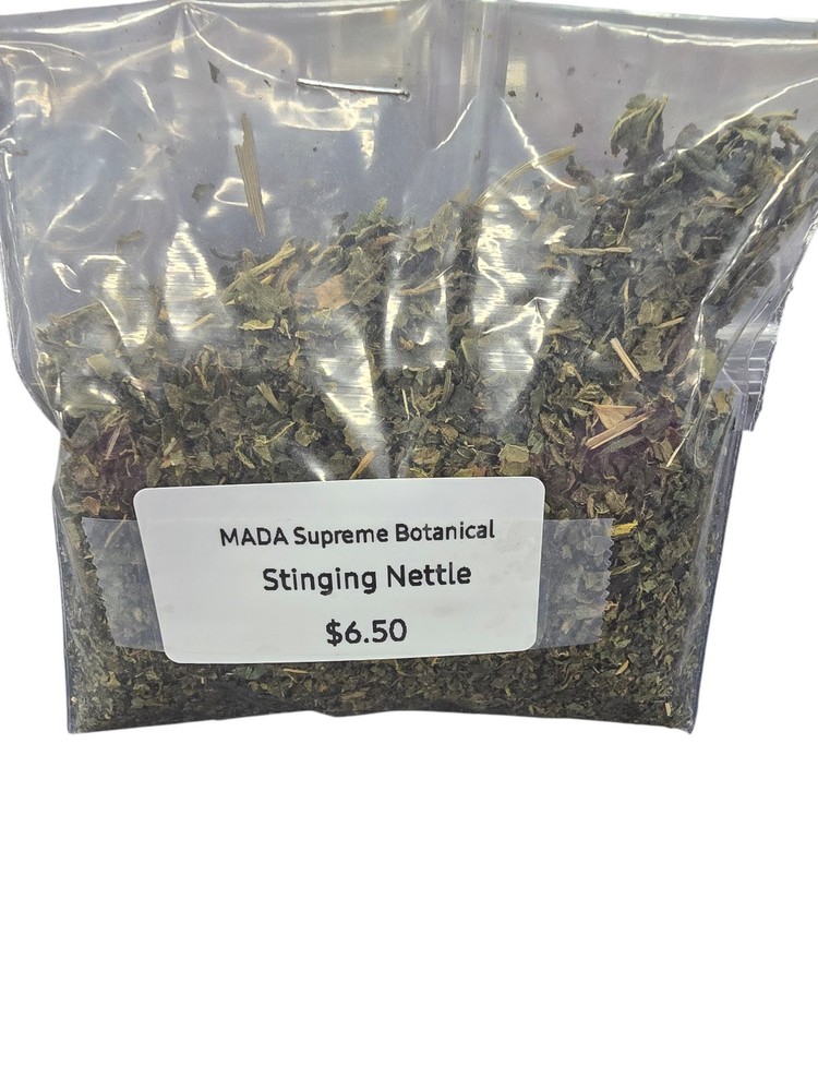 Stinging Nettle