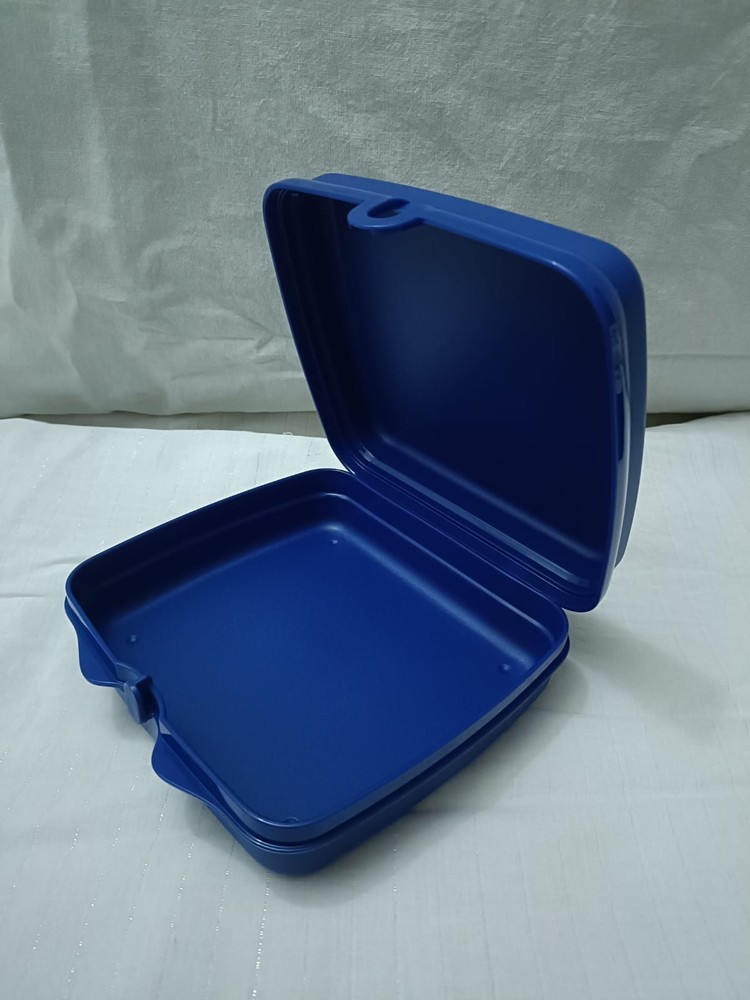 Tupperware Sandwich keeper Desert Print Square Shape