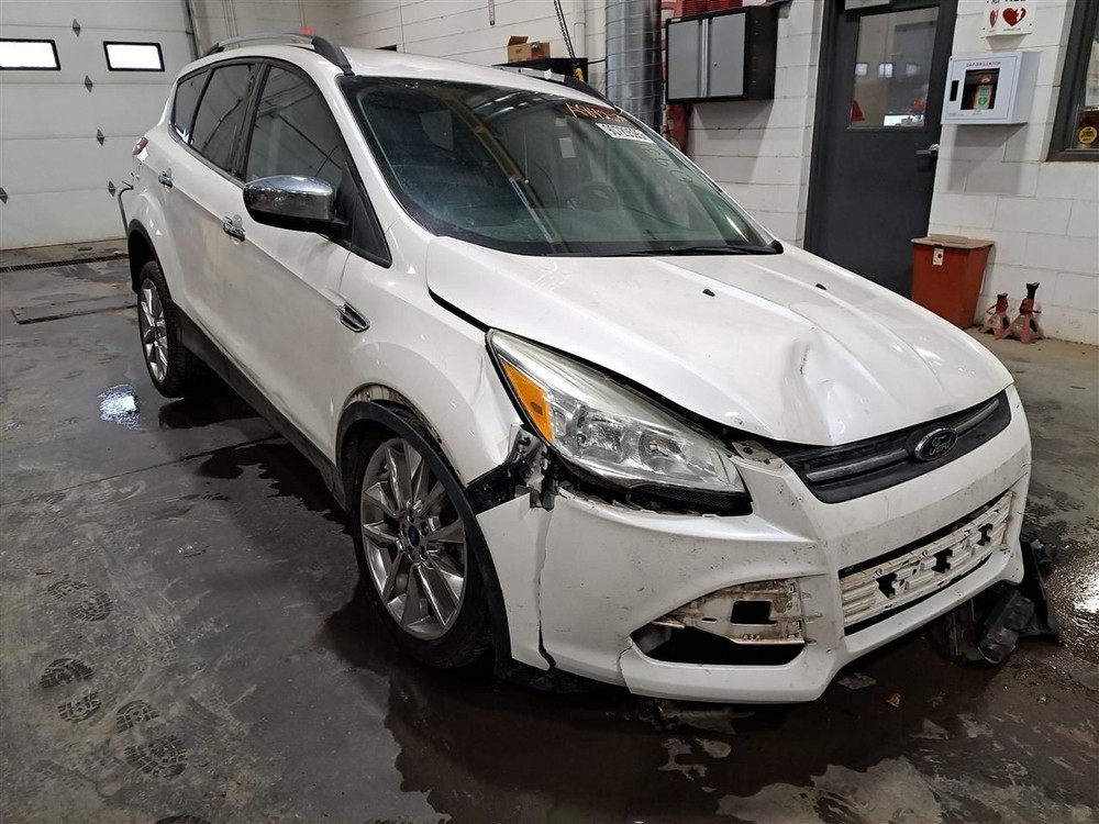 Rear 2016 Escape Camera/Projector Sku#4335195