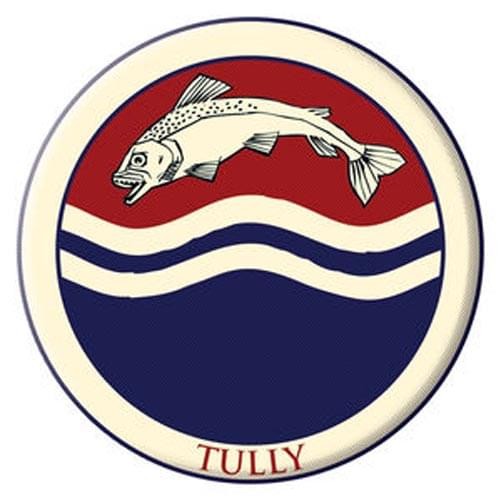 Game Of Thrones Embroidered Patch: Tully