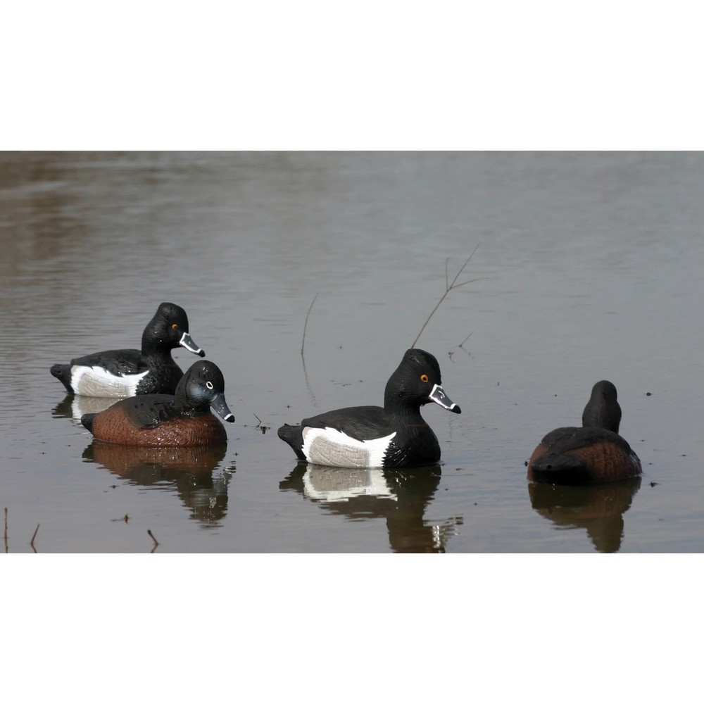 Higdon Standard Ring Neck Foam Filled 6-Pack