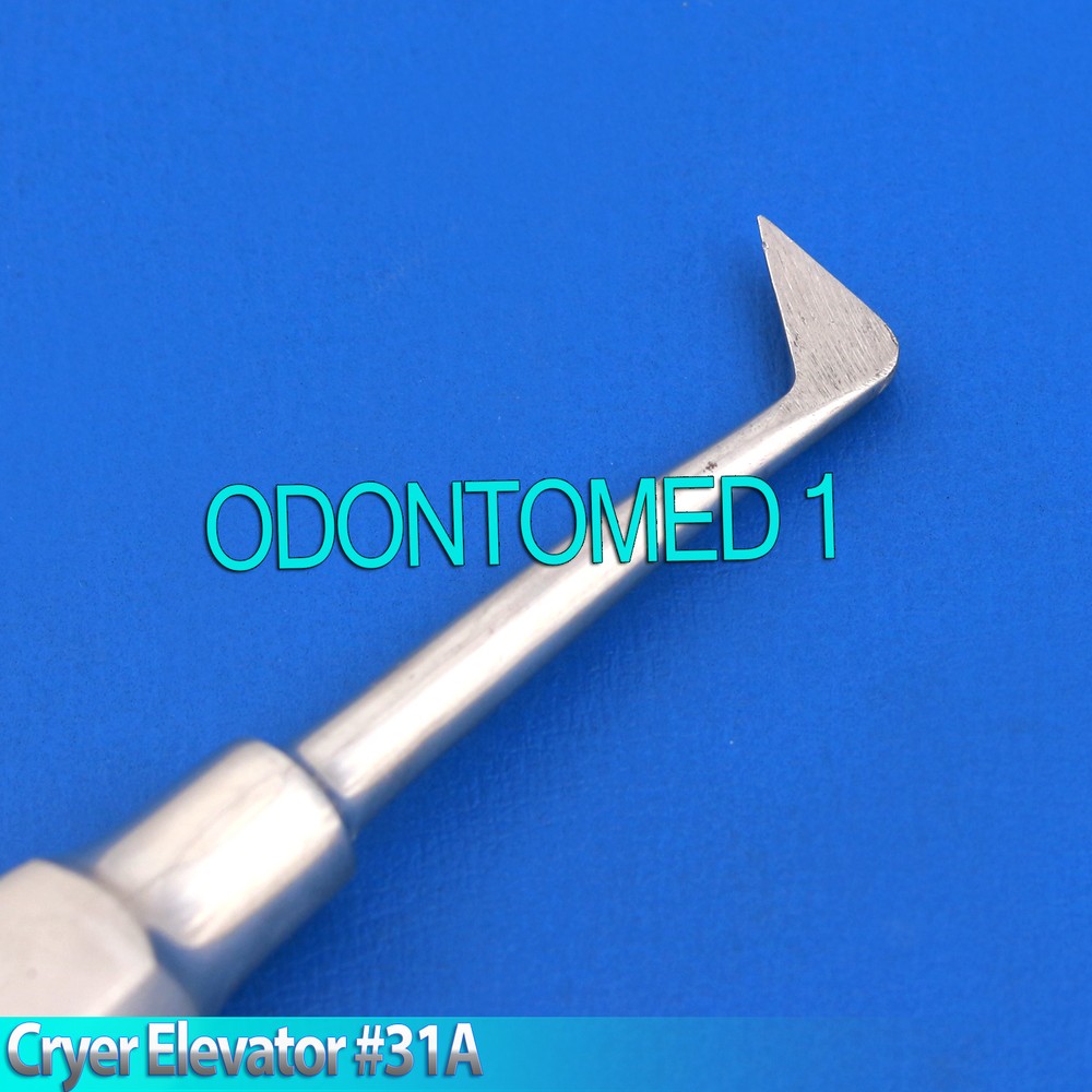 Cryer # 31A Right Root Elevator Small Dental Instruments