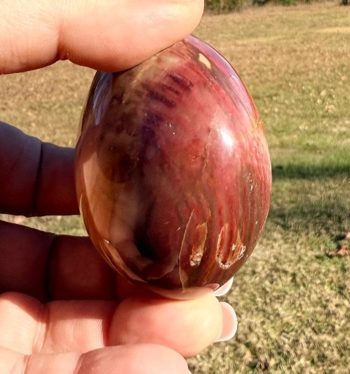 Petrified Wood Palmstone