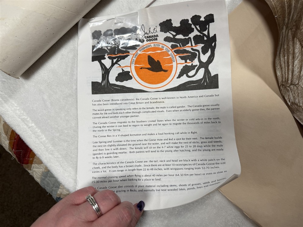 JACKITE GIANT CANADA GOOSE DECOY KITE / WINDSOCK